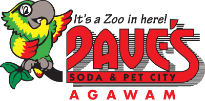 Welcome To Club Dave S Rewards Having A Healthy Happy Pet Is Its